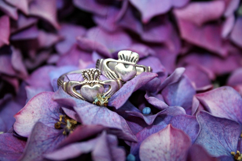 two claddagh rings on top of purple flowers